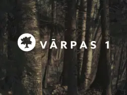 Vārpas 1, SIA