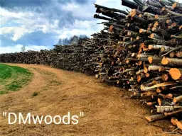 DMwoods, SIA