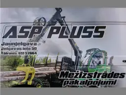 ASP Pluss, SIA