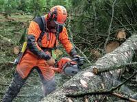Zāģēru pakalpojumi Bauskas novadā