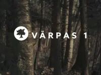 Vārpas 1, SIA