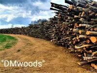 DMwoods, SIA