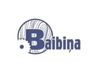 Baibiņa, SIA RSEZ